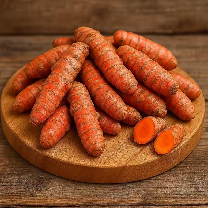 Fresh Turmeric Root, 1 lb – Premium Fresh Harvest for Cooking or Planting, Aromatic Non-GMO Rhizomes, Warm Earthy Flavor for Tea, Smoothies, Curry & Home Gardens