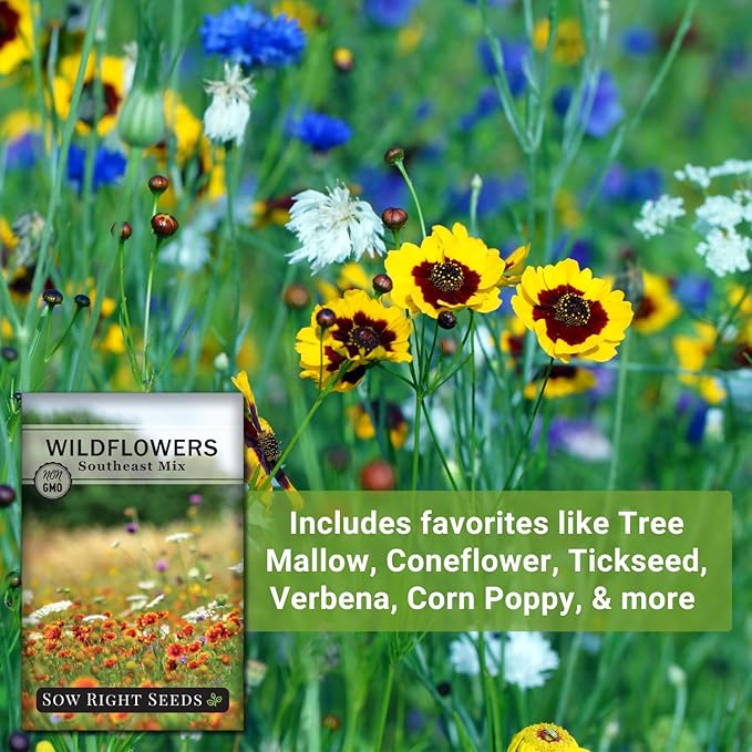Sow Right Seeds - Wildflowers Seeds Mix for Planting in Southeast - Non-GMO Heirloom Varieties to Grow a Wild Flower Garden - Perennial and Annual Flowers to Attract Pollinators - Colorful Blooms (1)
