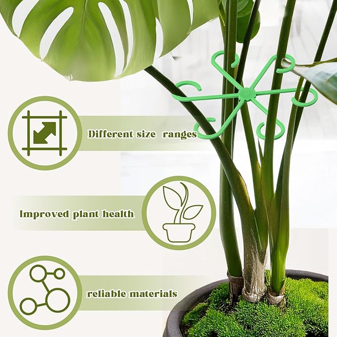 12Pcs Plant Stem Supports, Reusable Plastic Plant Accessories Indoor, Monstera Plant Support for Climbing Houseplants, Stakes Trellis Stem Hook Growth Tools for Neat Garden Arrangement(Green)