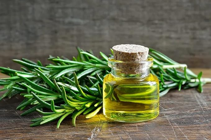 SeedsUP - 50+ Seeds Rosemary - Herb Green