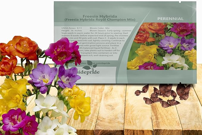 Outsidepride Freesia Hybrida Mix Seeds - 100 Pcs. Perennial, Versatile & Low Maintenance, Flower Seeds for Planting Vibrant Mixed Blooms for Pollinator Gardens & Cut Flower Arrangements
