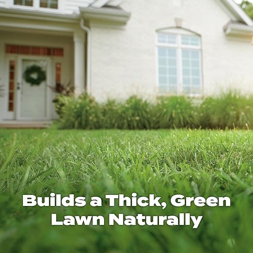 Scotts Natural Lawn Food, Lawn Fertilizer, For All Grass Types, Apply Any Season, OMRI Listed, Covers 4,000 sq. ft., 29.1 lbs.