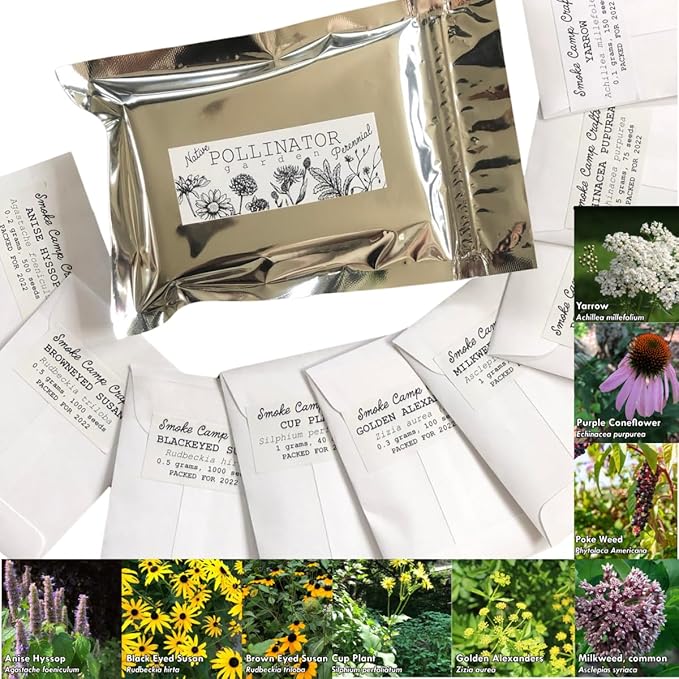 Pollinator Seed Kit, 3,000 Seeds, Perennial Wildflower Seeds, Colourful Flower Garden Seeds, 9 Seed Packets - Smoke Camp Crafts