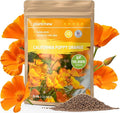 Orange California Poppy Seeds for Planting - Bulk 0.35 Ounce Packet - Over 10,000 Native Seeds - California State Flower