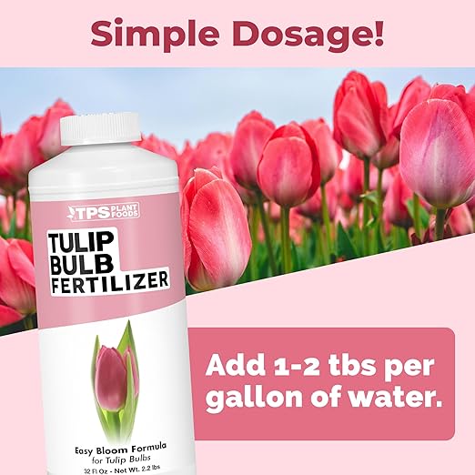 Tulip Bulb Fertilizer – Liquid Plant Food for Bigger Blooms & Stronger Bulb Development, 32 oz