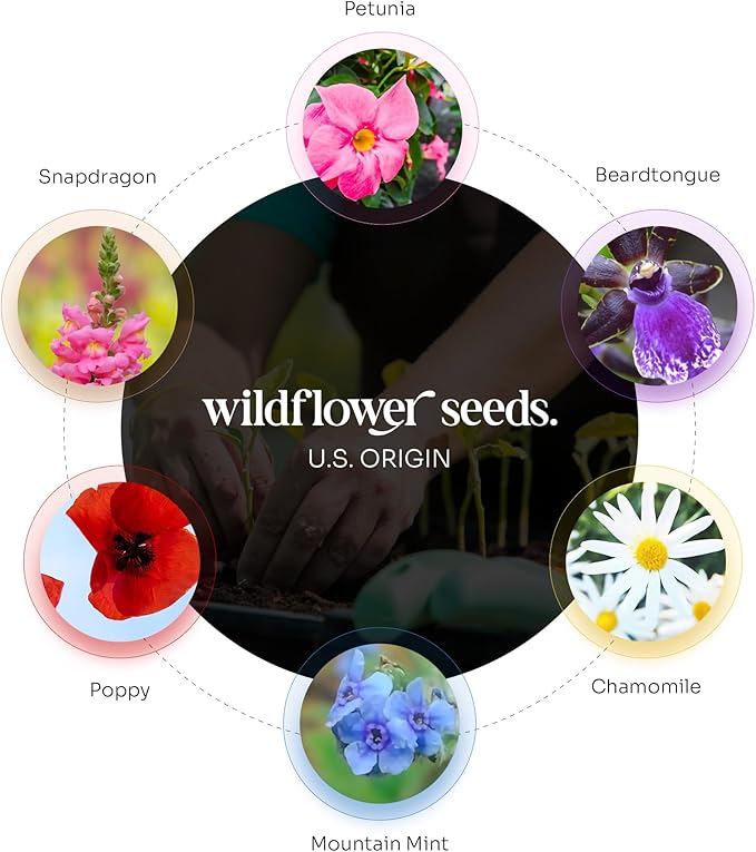 Seed Bloom Onesie Seed Paper – 15 Pink Shower Favors for Guests with Wildflower Seeds, Writable & Plantable, Shower Favor Gifts for Guest