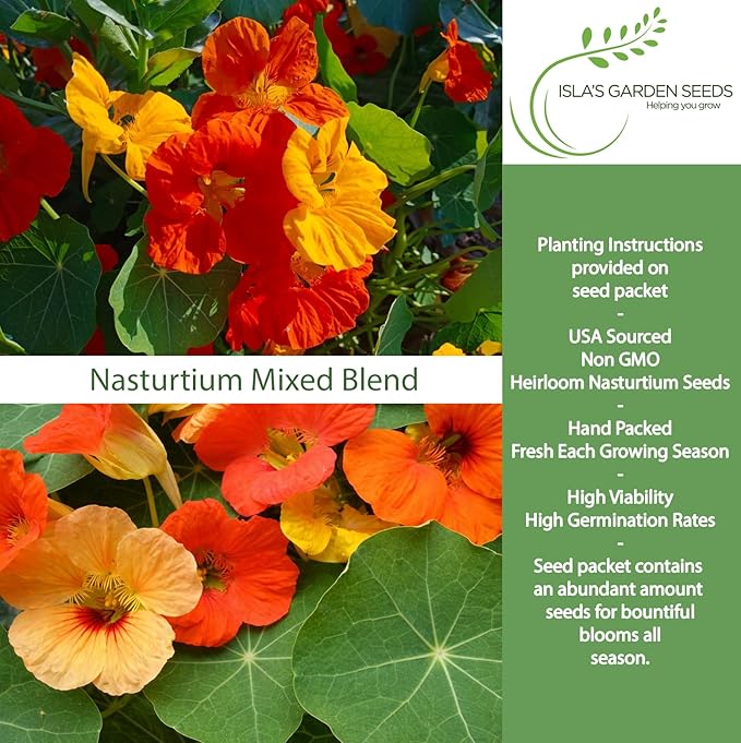 Nasturtium Mixed Blend Flower Seeds for Planting - 50+ Flower Seeds Per Packet, (Isla's Garden Seeds) Non-GMO & Heirloom, Botanical Name; Tropaeolum majus, Great Garden Gift