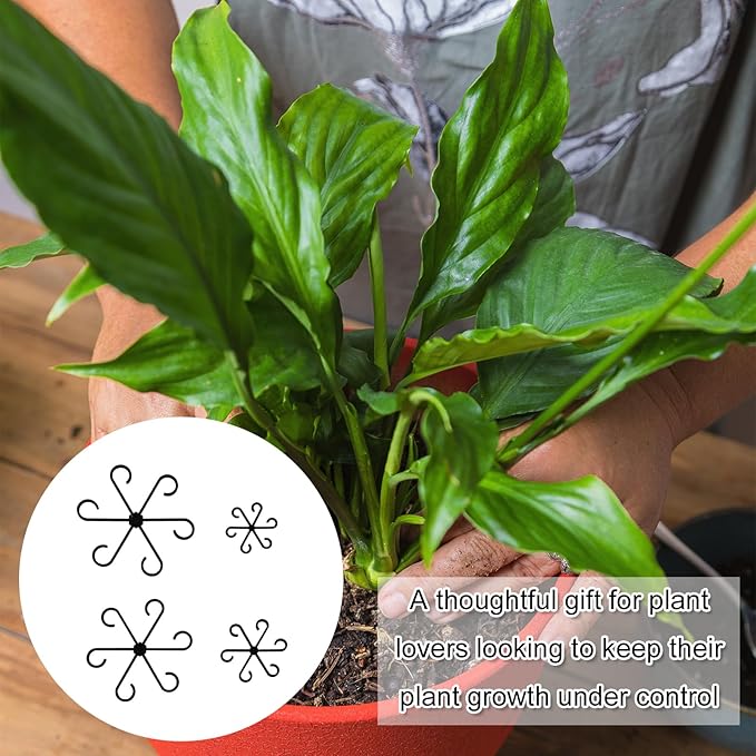 4pcs Plant Stem Supports, Plastic Houseplant Climbing Holders Stabilizer Reusable Small Climbers Flower Plant Stakes Trellis Stem Hook Growth Accessories for Indoor Monstera (Black)