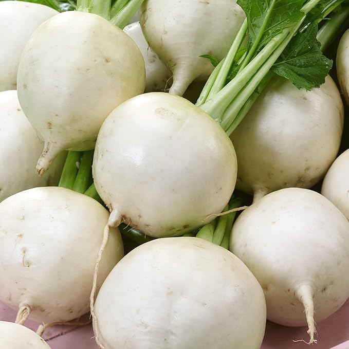 Snowball Turnip Seeds - 4 Oz ~48000 Seeds - Non-GMO - Vegetable Garden - Brassica rapa
