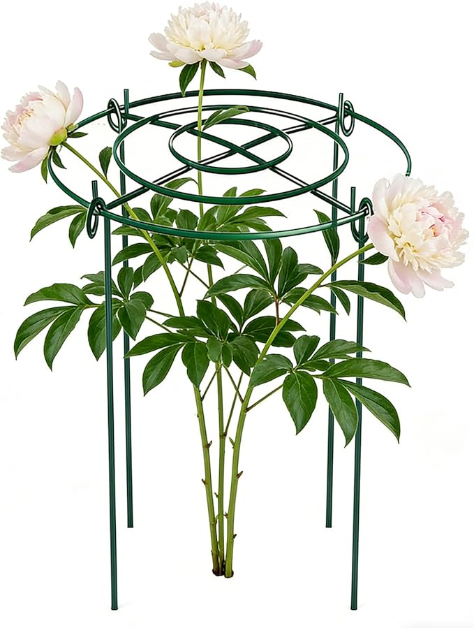 8PACK Peony Cages and Supports, Heavy Duty Metal Peony Support Cage, Plant Supports for Outdoor Plants, Plant Support Ring with Grid, for Rose Peony Flowers Tomato (11.5" Dx16 H, Green)