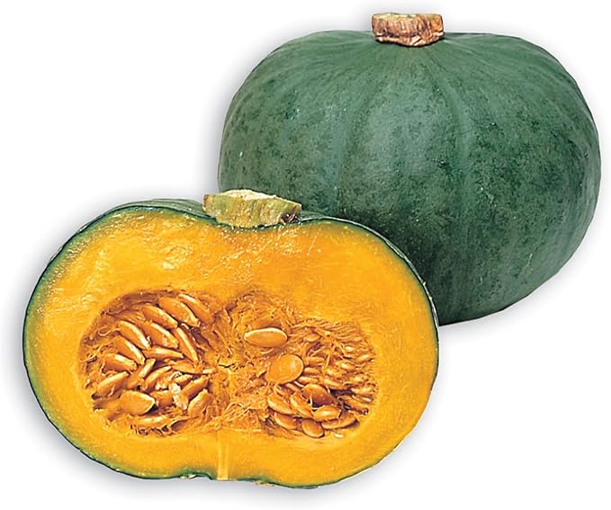 Squash Seeds - Japanese, Winter - Blue Kuri - 4 Oz ~600 Seeds - Non-GMO, Heirloom - Asian Garden Vegetable