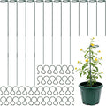 12 Pcs Plant Stake Support Adjustable Three Sizes(12 or 24 or 36 Inch) Monstera Support Stakes for Outdoor or Indoor, Garden Plant Stakes for Flowers Amaryllis Tomato Lilies Peony Rose