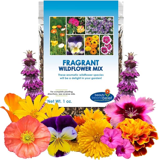 Fragrant Wildflower Seeds Mix - 1oz, Aromatic Annual and Perennial Wildflower Seeds – Create The Perfect Garden.