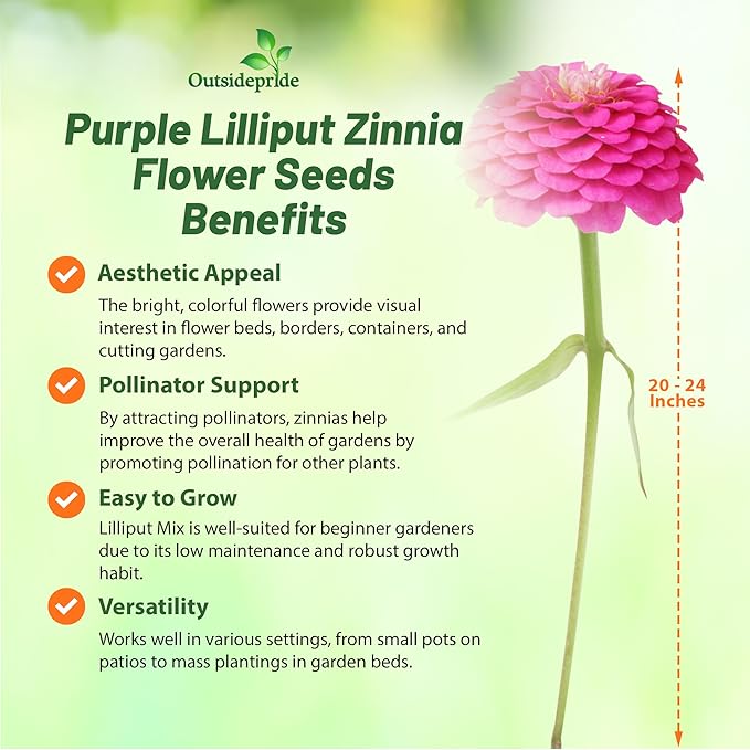 Outsidepride Purple Lilliput Zinnia Seeds - 2000 Pieces Annual, Drought Tolerant Flower Seeds for Planting Outdoors w/Pom-Pom-Like Compact Double Blooms for Borders & Containers, Pollinator Friendly