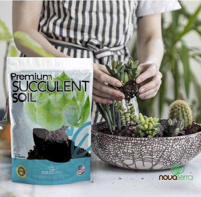 Succulent Soil Potting Mix Succulents Plants Live Succulent pots Potting Soil for Succulents Indoor suculentas Potting 2 oz Free Fertilizer Pellets Bag Inside 2.4 Qts