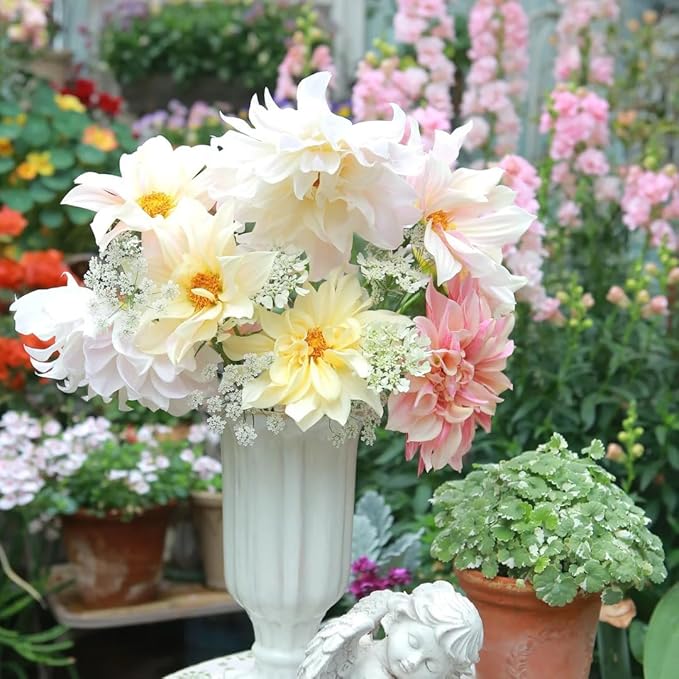 Mixrug Mix Dahlia Seeds for Planting, 400pcs Rare Perennial Garden Dahlia Flower Seeds Non-GMO Heirloom Flower Plants, Beauty Home Garden for Outdoors