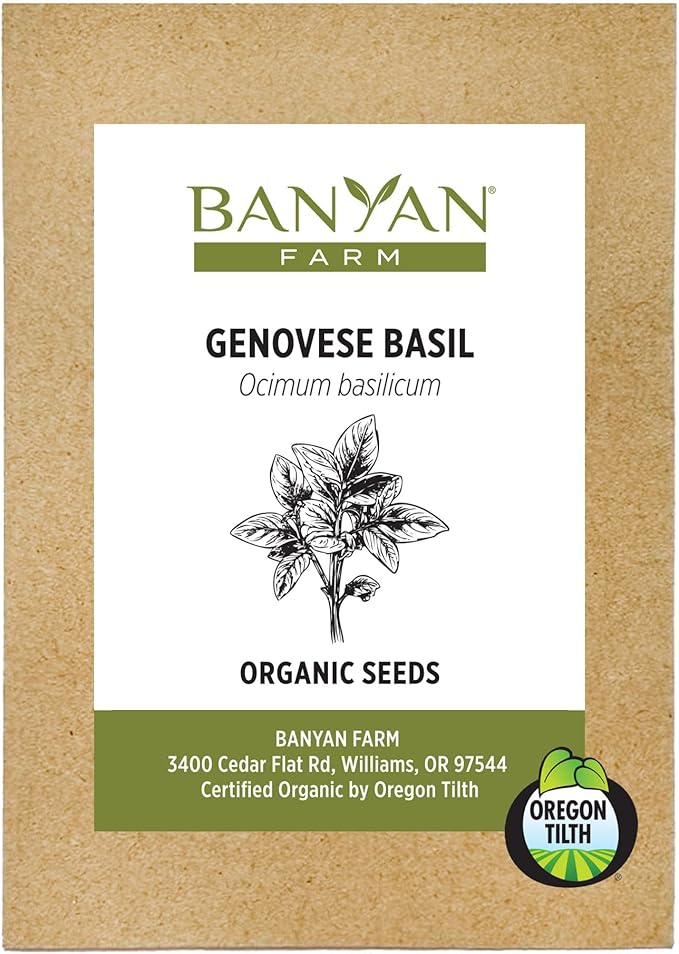 Banyan Botanicals Organic Genovese Basil Seeds – for Planting Indoors or Outdoors – Sweet & Delicious Easy to Grow Italian Basil – 100 Count – Open Pollinated Non-GMO Herb Seeds