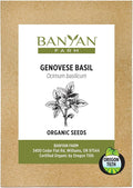 Banyan Botanicals Organic Genovese Basil Seeds – for Planting Indoors or Outdoors – Sweet & Delicious Easy to Grow Italian Basil – 100 Count – Open Pollinated Non-GMO Herb Seeds