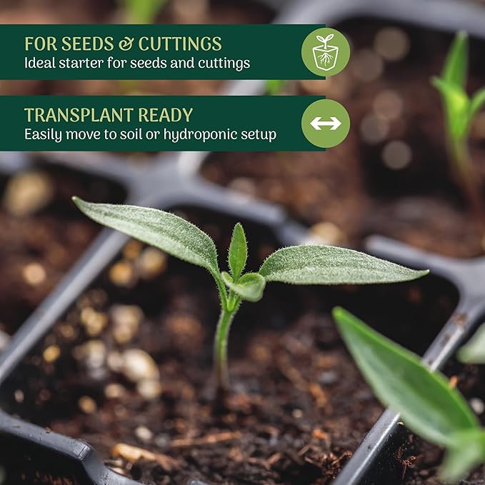 Arcadia Garden Products 50-Pack Seed Starter Plug for Seedlings and Cuttings, Growth Sponge for Fast Germination and Strong Roots with Soil or Hydroponic Applications