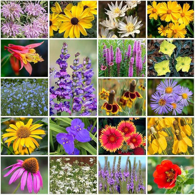Grow Your Own Vibrant Annual and Perennial Wildflower Garden Seeds Mixture, Varieties for Pollinators and Spring Gardens - Native Perennial Mix, 1/4 lb