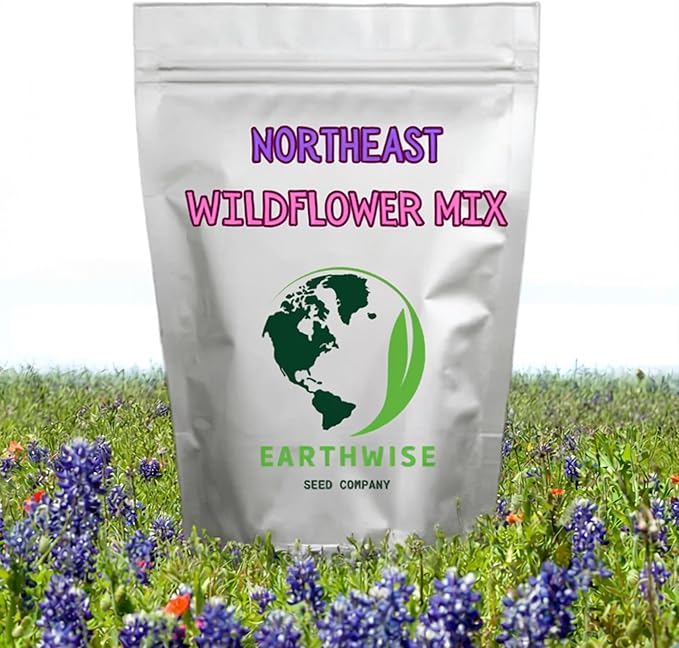 Earthwise Northeast Native & Naturalized Wildflower Mix – 1lb – Pollinator-Friendly, Easy-Grow Seeds – Covers 2000 sq. ft.