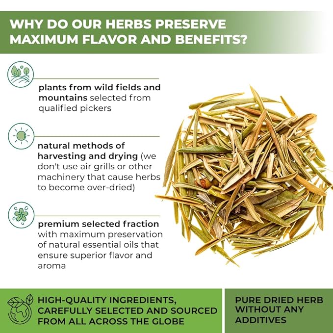 50 Bags Olive Leaf Tea Dried Olive Leaf Herbal Tea (Olea Europaea) - 50 Count 1.5 g Bags Hojas De Olivo Secas