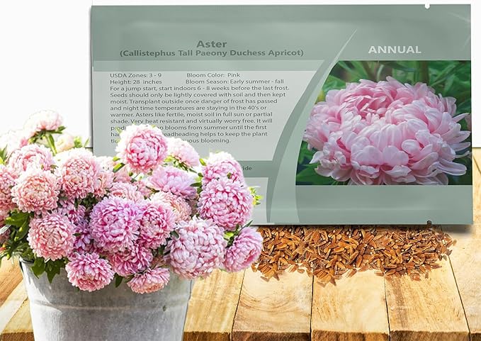 Outsidepride Mix Aster Seeds - 1,000 Pcs Perennial, Hardy & Pollinator Friendly Flower Seeds for Planting Vibrant Daisy-Like Petals, Ideal for Meadows & Aesthetic Gardens