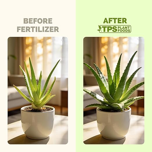 Aloe Vera Fertilizer for All Aloe and Succulent Plants, Liquid Plant Food 8 oz (250mL)