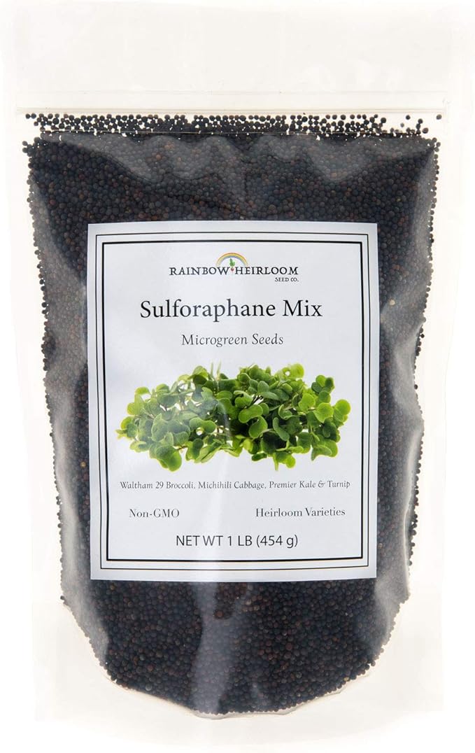 Sulforaphane MICROGREEN Seed Mix | Perfect for Microgreen Growing Trays | Kale, Cabbage, Turnip & Broccoli Sprouting Seeds | Non GMO Heirloom Seeds | 1 LB Resealable Bag | Rainbow Heirloom Seed Co.