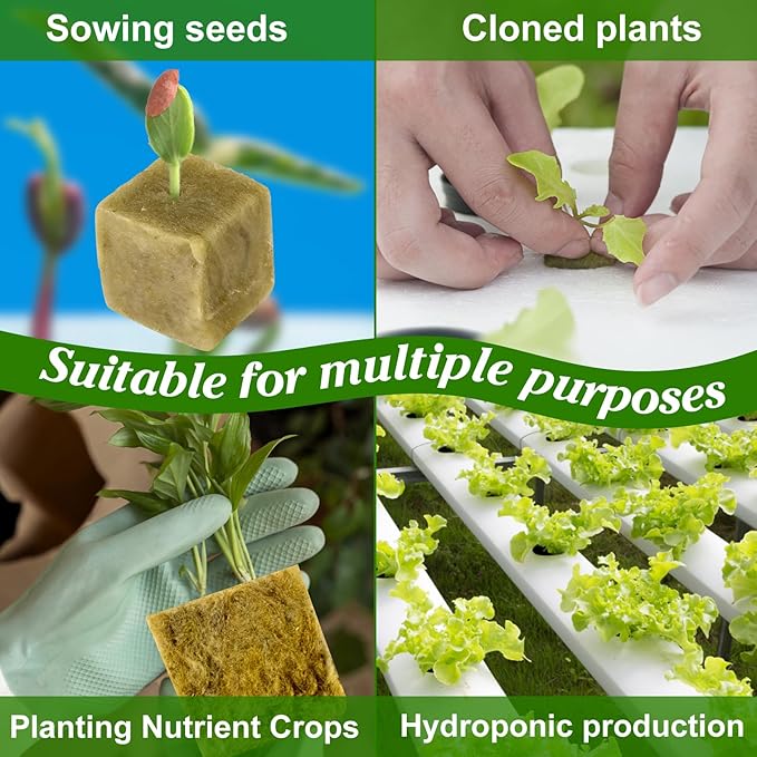 252 Pieces Rockwool Cubes for Hydroponics 1.5'' Rock Wool Planting Cubes Rockwool Starter Plugs Blocks with 20 Plant Name Tags for Soilless Cultivation, Seedlings Cuttings Plant Supplies