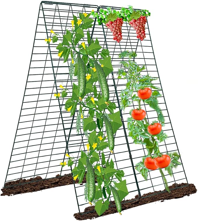 Metal Trellis for Climbing Plants Outdoor Garden Trellis,Cucumber Trellis,Tomato Plant Support/Squash/Zucchini/Sweet Peatrellis,Green Bean/Grape/Vine/Flower Plant Trellis (1pack)
