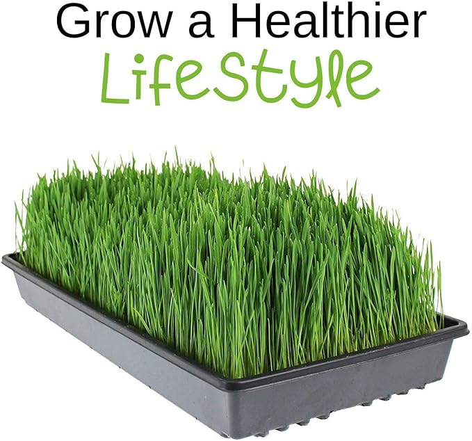 12 Oz. of Azomite - Organic Trace Mineral Soil Additive Fertilizer - 67 Trace Minerals: Garden/Gardening Soil Amendment