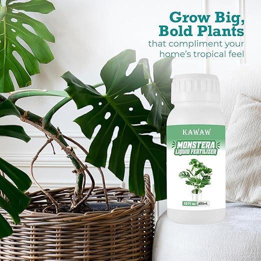 10oz Monstera Plant Food, Liquid Indoor Plant Fertilizer for Obliqua, Deliciosa and More, Microbial Organic Liquid Fertilizer for Houseplants’ Healthy Growth & Glossy Leaves