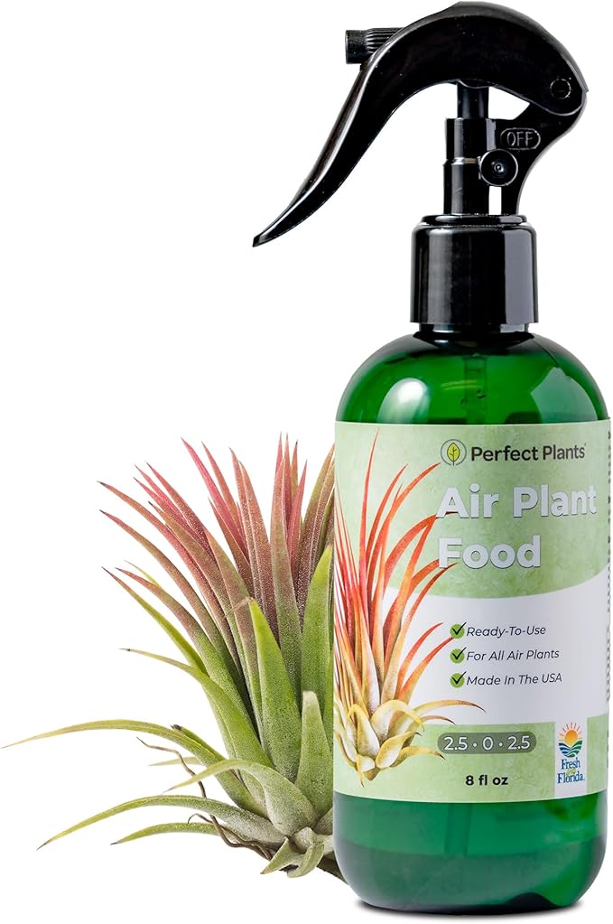 Air Plant Fertilizer Spray by Perfect Plants | Best Ready to Use Food Mist to Grow Large Tillandsia and Other Live Indoor Bromeliad Airplants (8 fl oz)