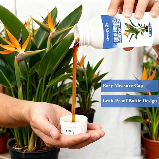 Bird of Paradise Liquid Fertilizer, 10 oz Natural Plant Food for Indoor & Outdoor Bird of Paradise, Organic Probiotic Formula for Bigger Leaves, Brighter Blooms & Strong Root Growth