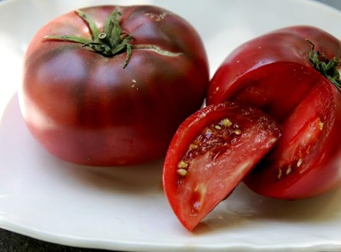 Seeds4planting - Seeds Tomato Black Elephant Giant Heirloom Vegetable Non GMO
