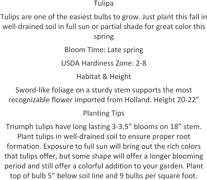 100 Pastel Mixture Tulip Bulbs - Tulipa Triumph Read for Spring.