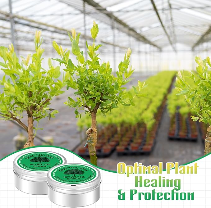 RattanView 2 Pcs 7 oz Grafting Wax Tin Weather Resistant Wax for Grafting Roses Fruit Bonsai Shrubs Wound Sealer Flexible Graft Sealer for Effective Tree Wound Repair(Classic)