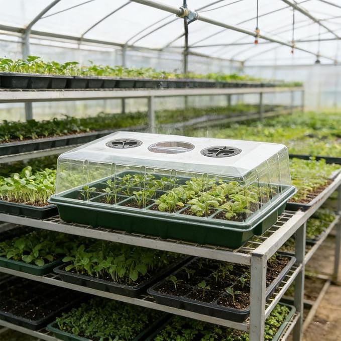 Seed Starter Trays with Humidity Domes, Reusable Plant Germination Kit for Microgreens, Herbs & Indoor Gardening, Clear Vented Lids, Fast Seedling Growth & Durable Design