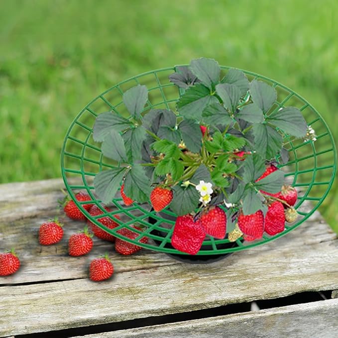 15 PCS Strawberry Supports,Strawberry Plant Support with Strawberry Logo Pattern,Strawberry Planting Rack with 3 Sturdy Support Feet to Prevent Strawberries From Rotting and Ensure Their Cleanliness.