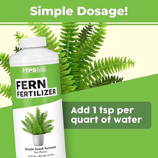 Fern Fertilizer – Liquid Plant Food for Fuller Fronds, Deep Green Color & Lush Growth, 32 oz