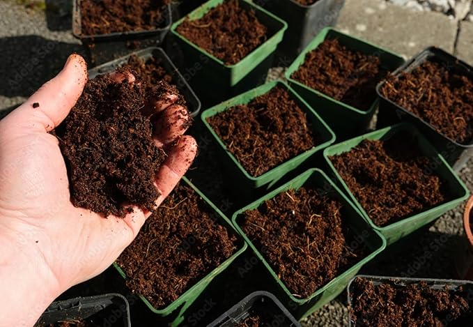 Premium Coco Peat Bricks – Low EC Coconut Coir Growing Medium, Pre-Buffered & pH Balanced, High Water Retention for Gardening, Hydroponics & Seed Starting, Pack of 6