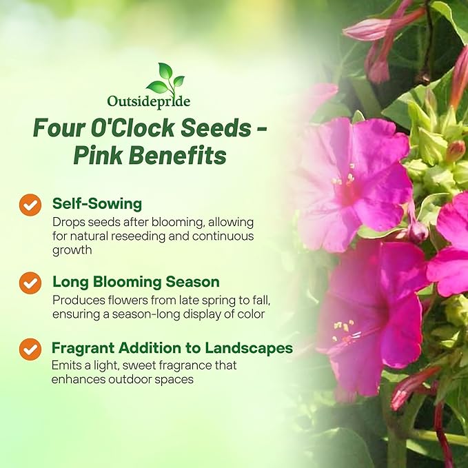 Outsidepride Pink Four O'clock Flower Seeds - 1 lb Perennial Fragrant, Trumpet-Shaped Blooms, Deer-Proof & Easy to Grow, for Pollinator & Evening Gardens, Containers, Hedges, or Borders