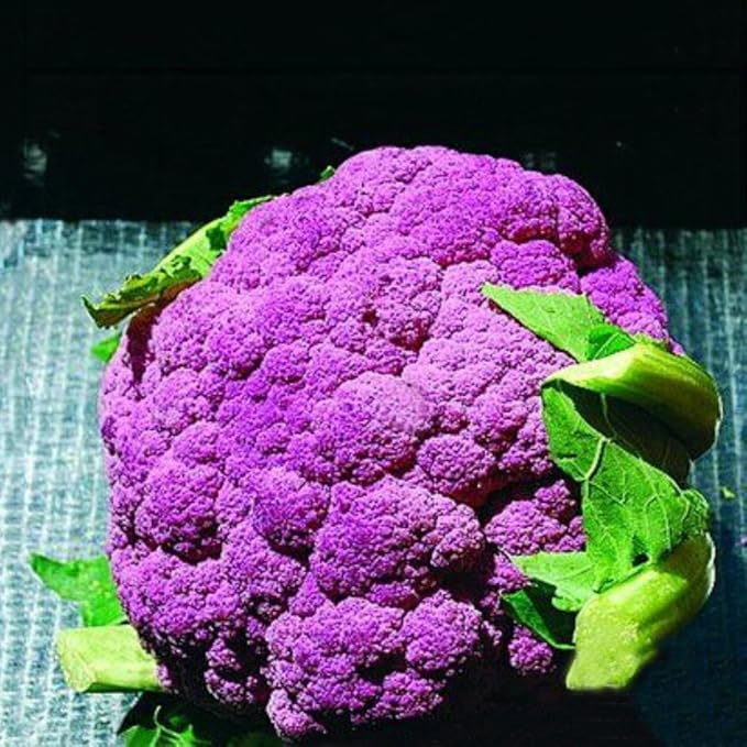 Seeds Vegetable Cauliflower Purple Cabbage - 100 Seeds