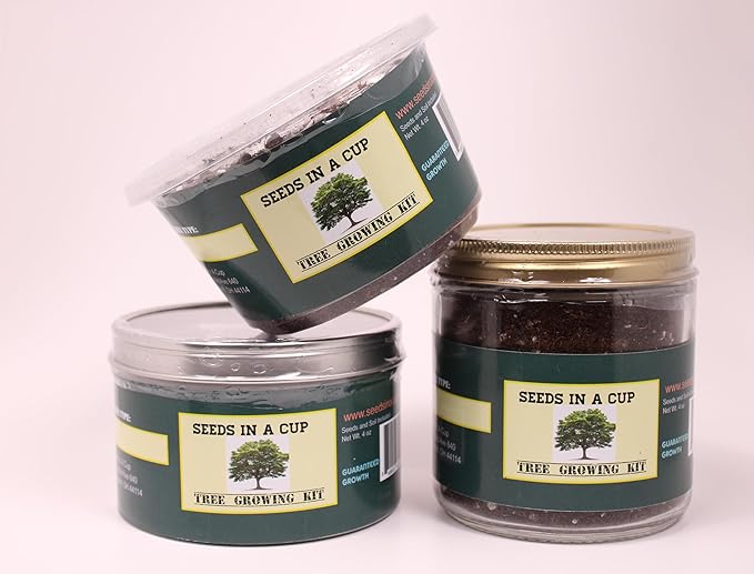 Seeds In A Cup - Plant Growing Kit-: Vegetable and Herb Growing Kit (Tomatos)
