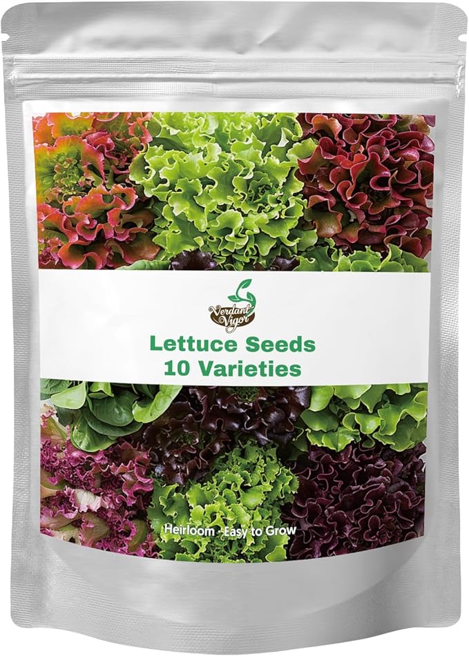 20,000+ Lettuce Seeds, Heirloom Winter Vegetable Seed for Planting Indoor Outdoor, 10 Varieties Fresh Lettuce Salad Seeds Garden Hydroponics Kit - Romaine, Iceberg, Boston, Bibb and More, Non-GMO