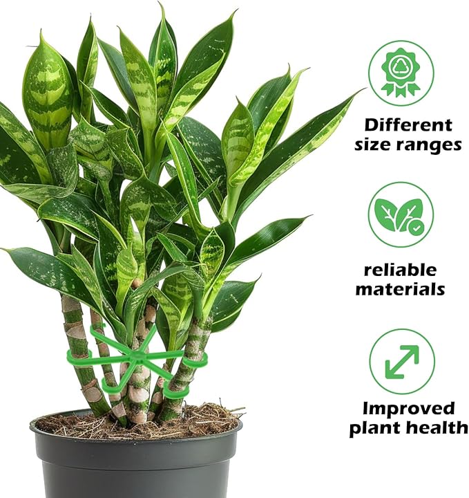 8pcs Plant Stem Support Climbing Houseplant Support Stakes for Indoor Plants Reusable Plastic Climbing Plant Support Plant Trellis Indoor Ideal Plant Support for Thriving Growth