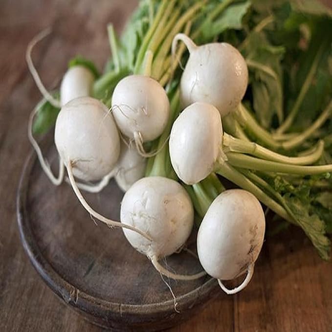 Turnip Seeds, Egg White Turnip, Heirloom, 100 Seeds, Non GMO,Vegetable