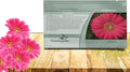 Outsidepride Pink Gerbera Seeds - 20 Pcs Perennial, Compact & Low Maintenance, Flower Seeds for Planting w/Vibrant Green Centered, Pink Blooms, Ideal for Garden Landscaping & Cut Flower Arrangements