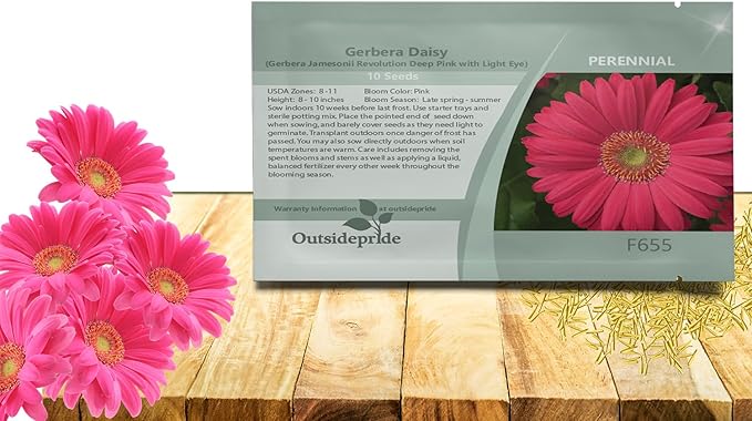 Outsidepride Pink Gerbera Seeds - 10 Pcs Perennial, Compact & Low Maintenance, Flower Seeds for Planting w/Vibrant Green Centered, Pink Blooms, Ideal for Garden Landscaping & Cut Flower Arrangements
